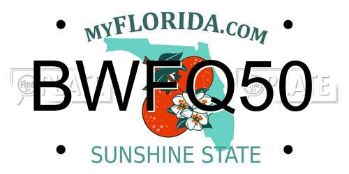 BWFQ50 Florida License Plate