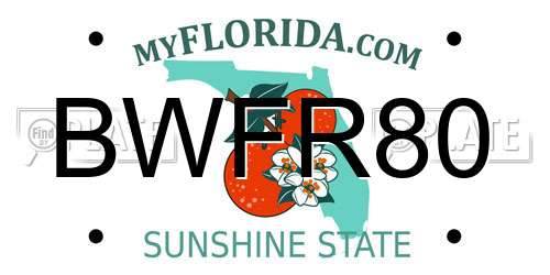 BWFR80 Florida License Plate