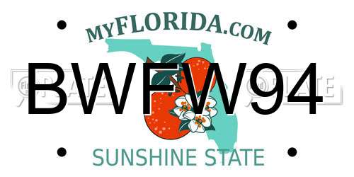 BWFW94 Florida License Plate