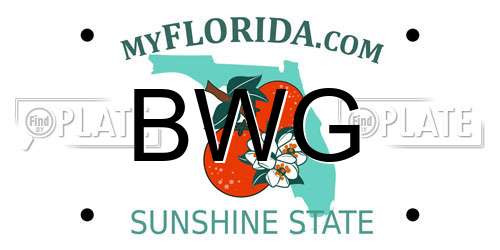 BWG Florida License Plate