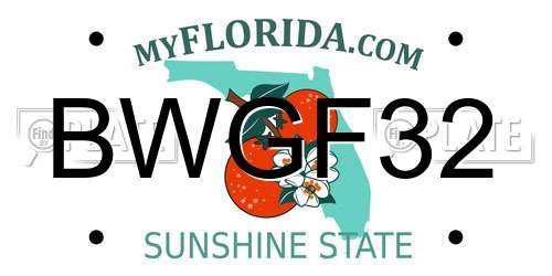 BWGF32 Florida License Plate