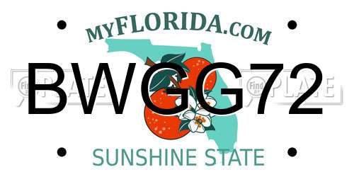BWGG72 Florida License Plate