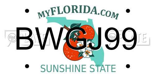 BWGJ99 Florida License Plate