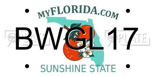 BWGL17 Florida License Plate