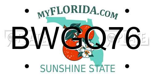 BWGQ76 Florida License Plate