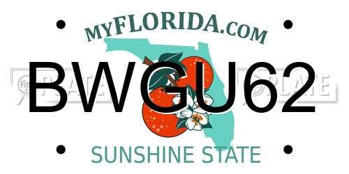 BWGU62 Florida License Plate