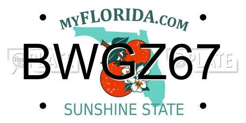 BWGZ67 Florida License Plate