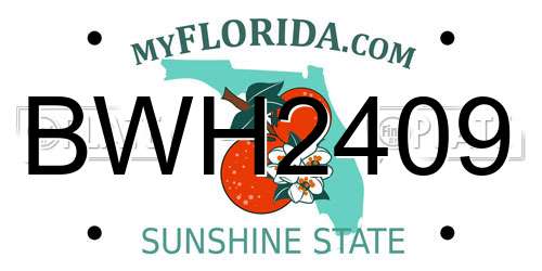 BWH2409 Florida License Plate