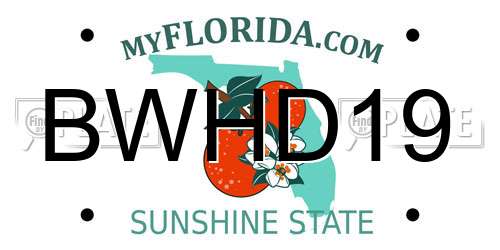 BWHD19 Florida License Plate