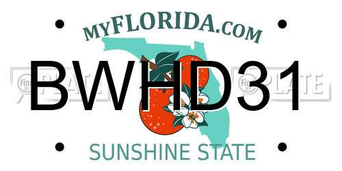 BWHD31 Florida License Plate
