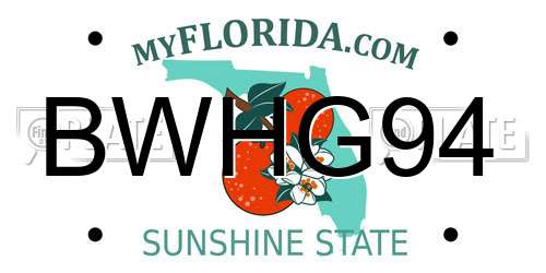BWHG94 Florida License Plate