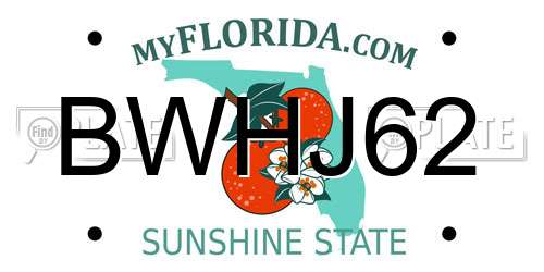 BWHJ62 Florida License Plate