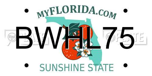 BWHL75 Florida License Plate