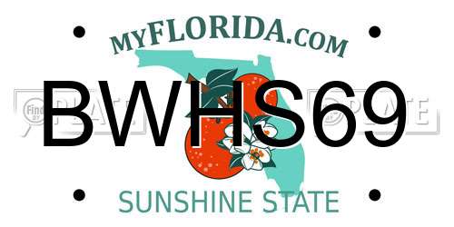 BWHS69 Florida License Plate