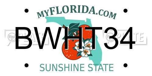 BWHT34 Florida License Plate