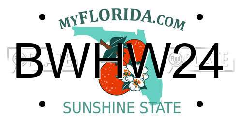 BWHW24 Florida License Plate