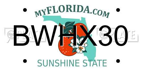 BWHX30 Florida License Plate
