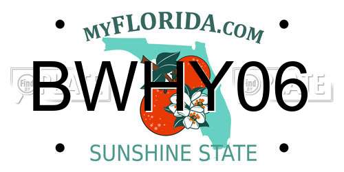 BWHY06 Florida License Plate