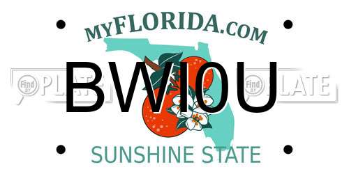 BWI0U Florida License Plate