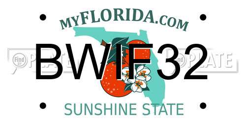 BWIF32 Florida License Plate