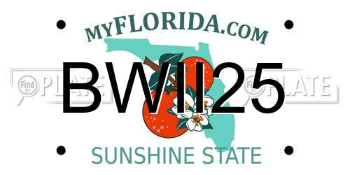 BWII25 Florida License Plate