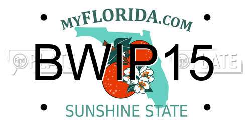 BWIP15 Florida License Plate