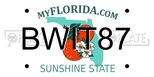 BWIT87 Florida License Plate