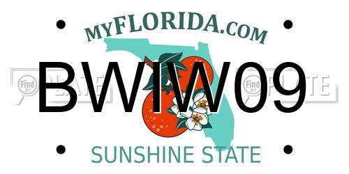 BWIW09 Florida License Plate
