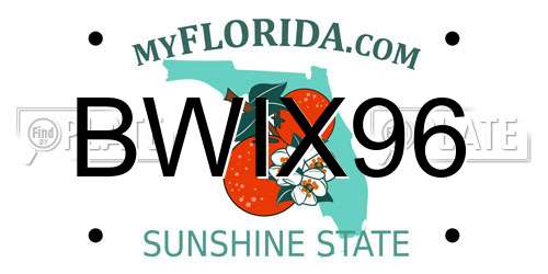 BWIX96 Florida License Plate