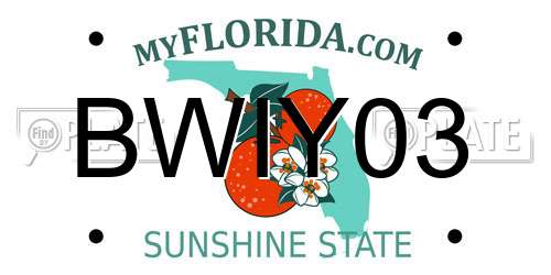 BWIY03 Florida License Plate