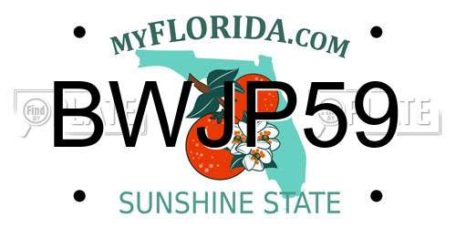 BWJP59 Florida License Plate