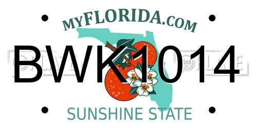 BWK1014 Florida License Plate