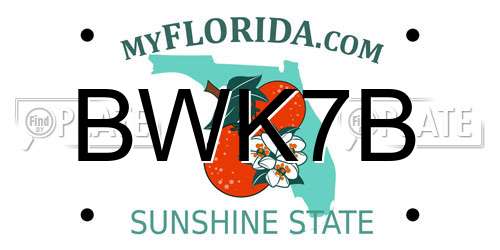 BWK7B Florida License Plate