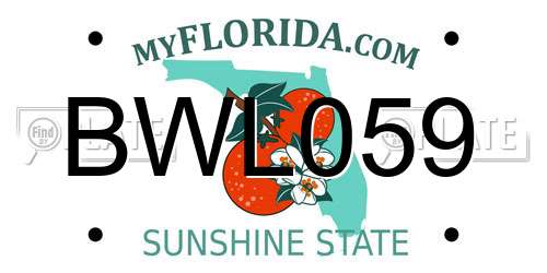 BWL059 Florida License Plate
