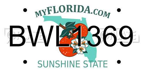 BWL1369 Florida License Plate