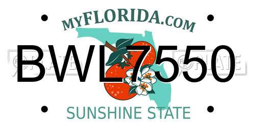 BWL7550 Florida License Plate