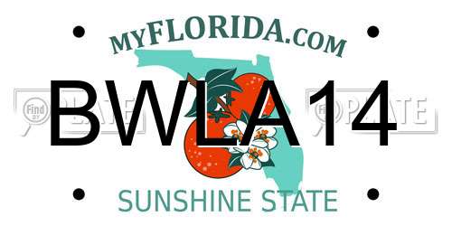 BWLA14 Florida License Plate