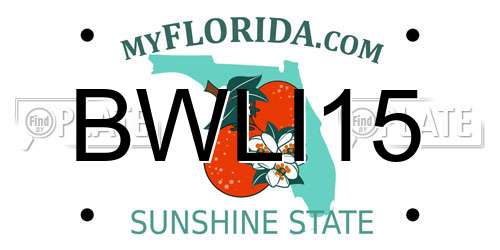 BWLI15 Florida License Plate
