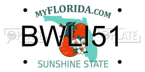 BWLI51 Florida License Plate