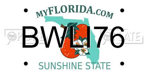 BWLI76 Florida License Plate