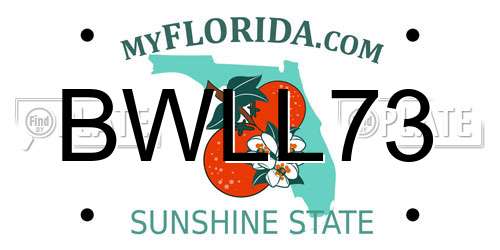 BWLL73 Florida License Plate