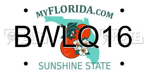 BWLQ16 Florida License Plate