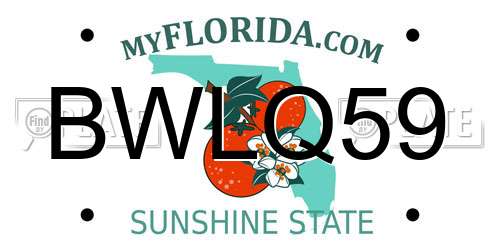 BWLQ59 Florida License Plate