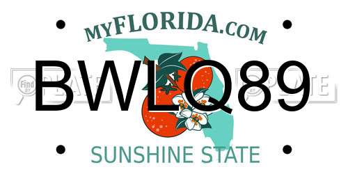 BWLQ89 Florida License Plate