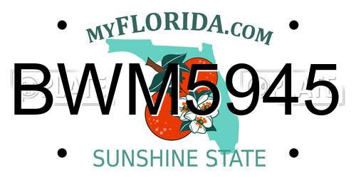 BWM5945 Florida License Plate