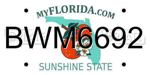 BWM6692 Florida License Plate