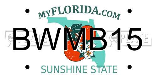 BWMB15 Florida License Plate