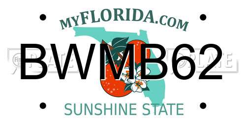 BWMB62 Florida License Plate