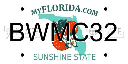 BWMC32 Florida License Plate
