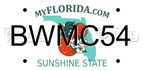 BWMC54 Florida License Plate
